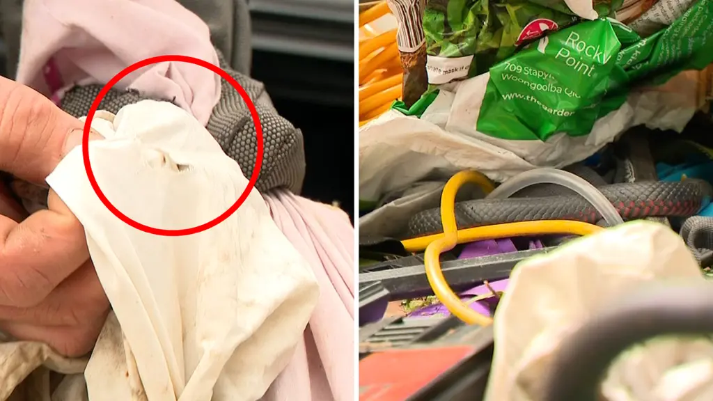 Snake discovered indoors during a Sydney reptile-removal call-out